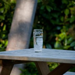 Project 365 – Week Seventeen