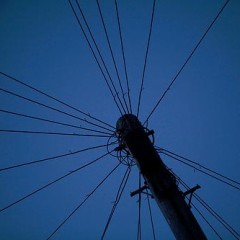 Project 365 – Week Thirty Nine
