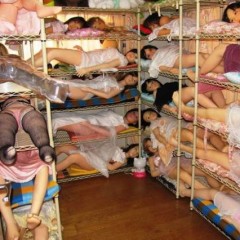 The Plight Of Sex Dolls