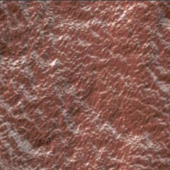 The Surface Of Mars