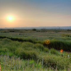 Farlington Marshes – Handheld HDR