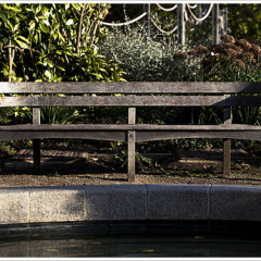 Empty Bench