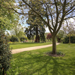 Colourful Garden