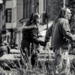 City Picnic