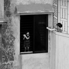 Street Photography By Mehedi Hasan