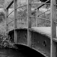 Bridge At Mottisfont Abbey
