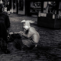 Rabbit Suit