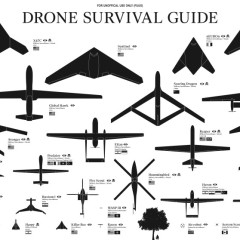 Surviving Drone Attacks