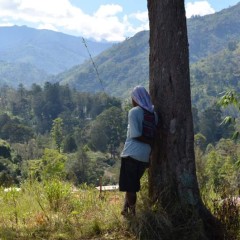 Sorcery And Papua New Guinea