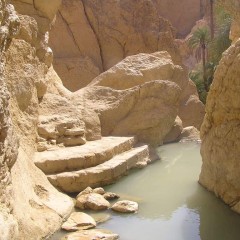 Tunisian Prostitution And Islam