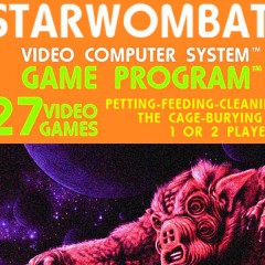 Rare Atari Game – Starwombat